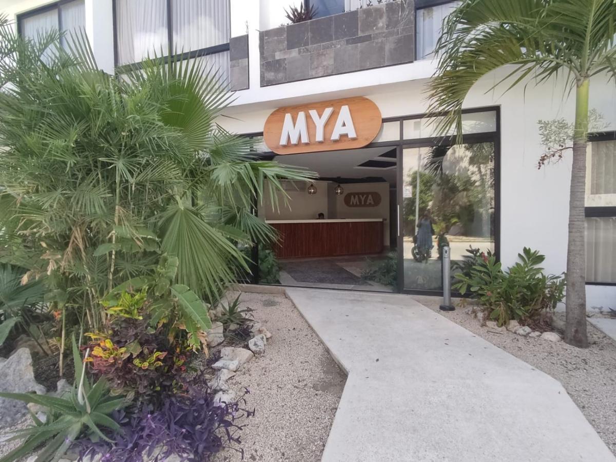 Nuevo Estudio Con Terraza Totalmente Equipado Tulum Aldea Zama Eksteriør bilde